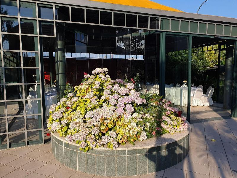 Hotel Ristorante La Campagnola Cassino Eksteriør billede